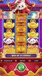 Fortune Rabbit · Panduan Antarmuka dan Pengoperasian Slot Fortune Rabbit